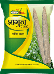 शगुन प्लस, Best Bajra Seeds,  Thumbnail Image