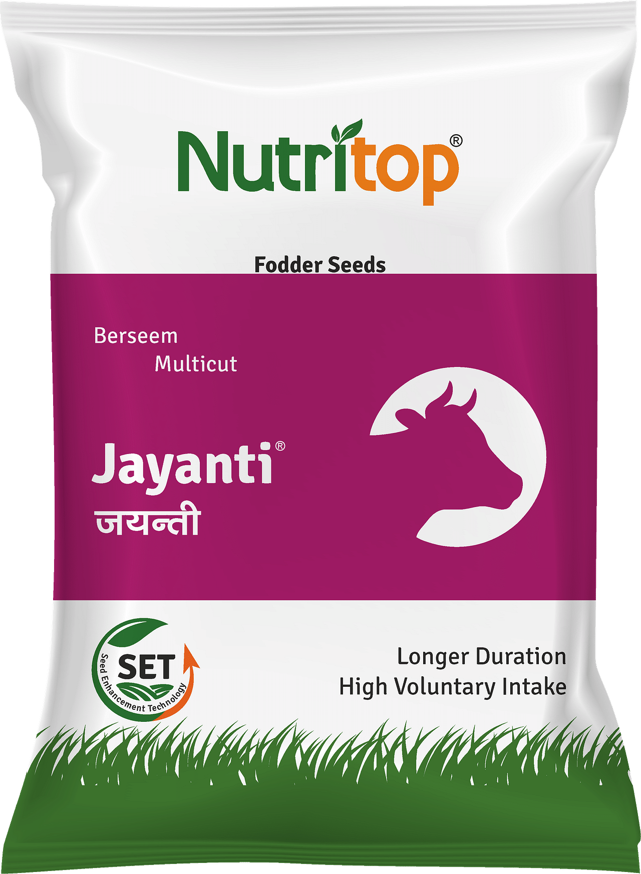 Jayanti, Best Berseem Seeds, 