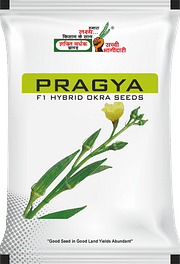 प्रज्ञा , Best Okra Seeds,  Thumbnail Image