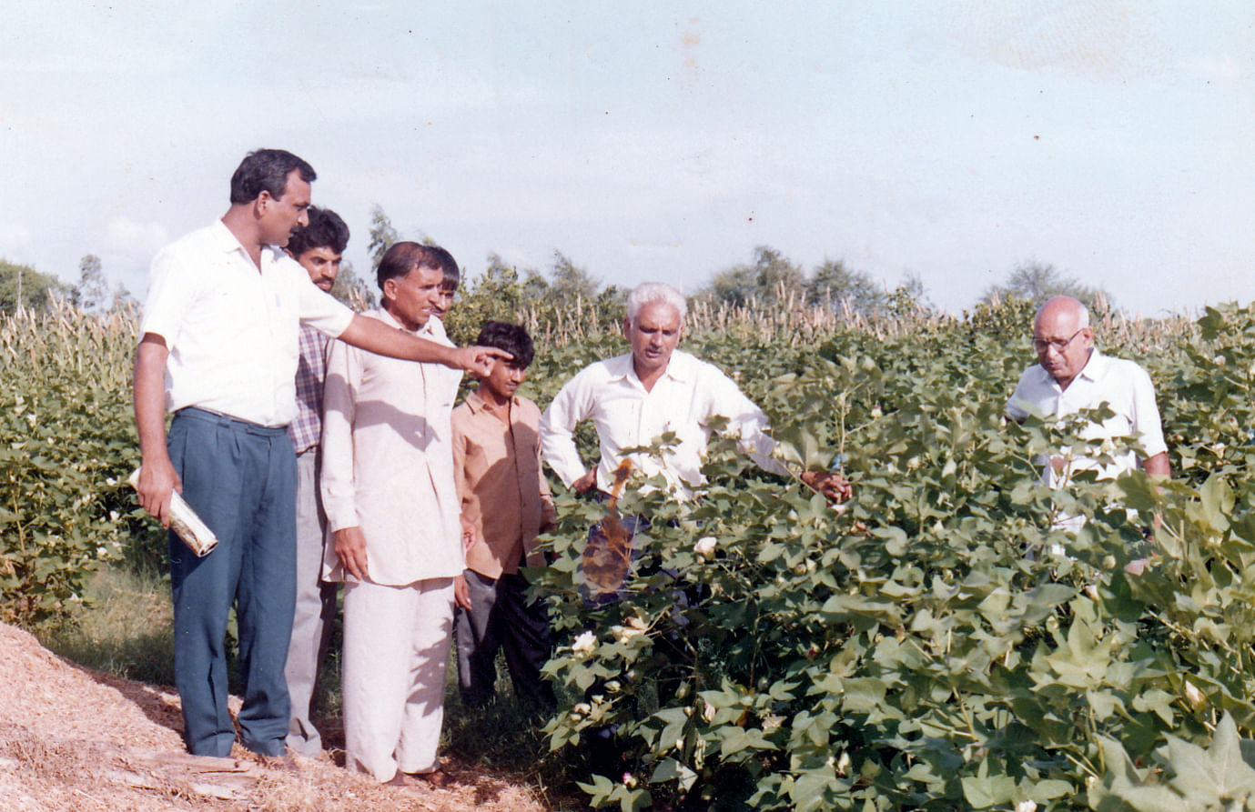 HS-6 American Cotton Seed (CCS HAU) Doctor Visit, July 1992