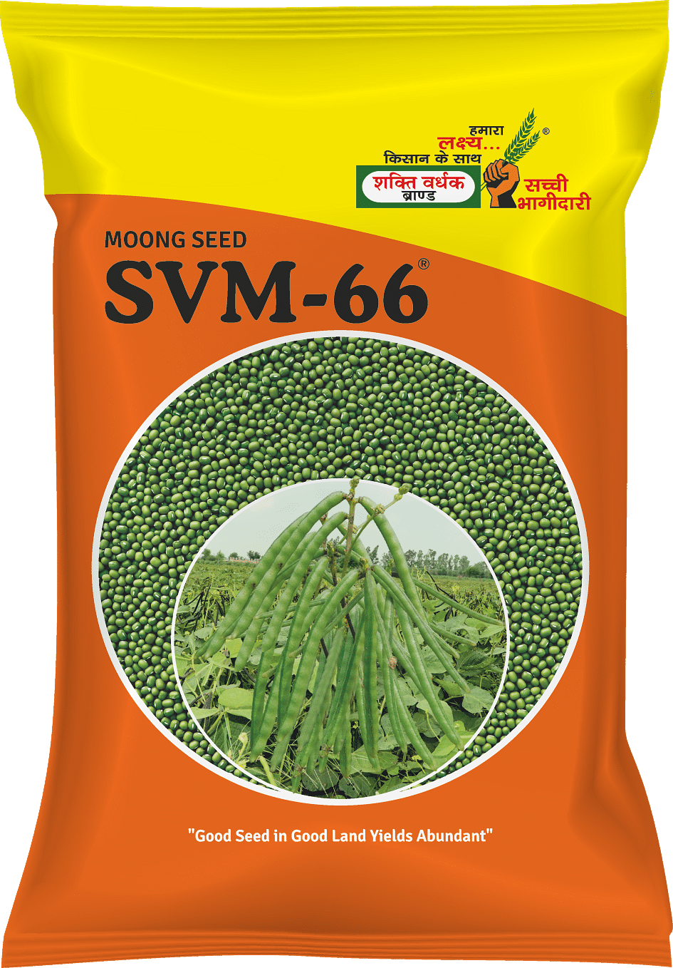 SVM-66, Best Moong Seeds, 