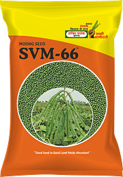 SVM-66, Best Moong Seeds,  Thumbnail Image