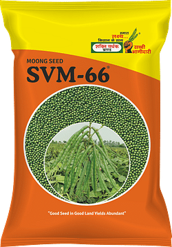 SVM-66