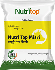 Nutri Top Misri, Best Jowar Seeds,  Thumbnail Image