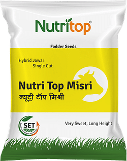 Nutri Top Misri