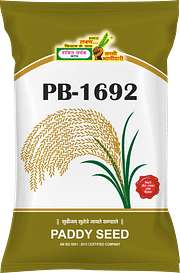 PB- 1692, Best Paddy Seeds,  Thumbnail Image