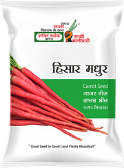 हिसार मधुर, Best Carrot Seeds,  Thumbnail Image