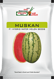 मुस्कान, Best Watermelon Seeds,  Thumbnail Image