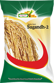 सुगंध-2, Best Paddy Seeds,  Thumbnail Image