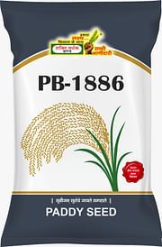 PB 1886, Best Paddy Seeds,  Thumbnail Image