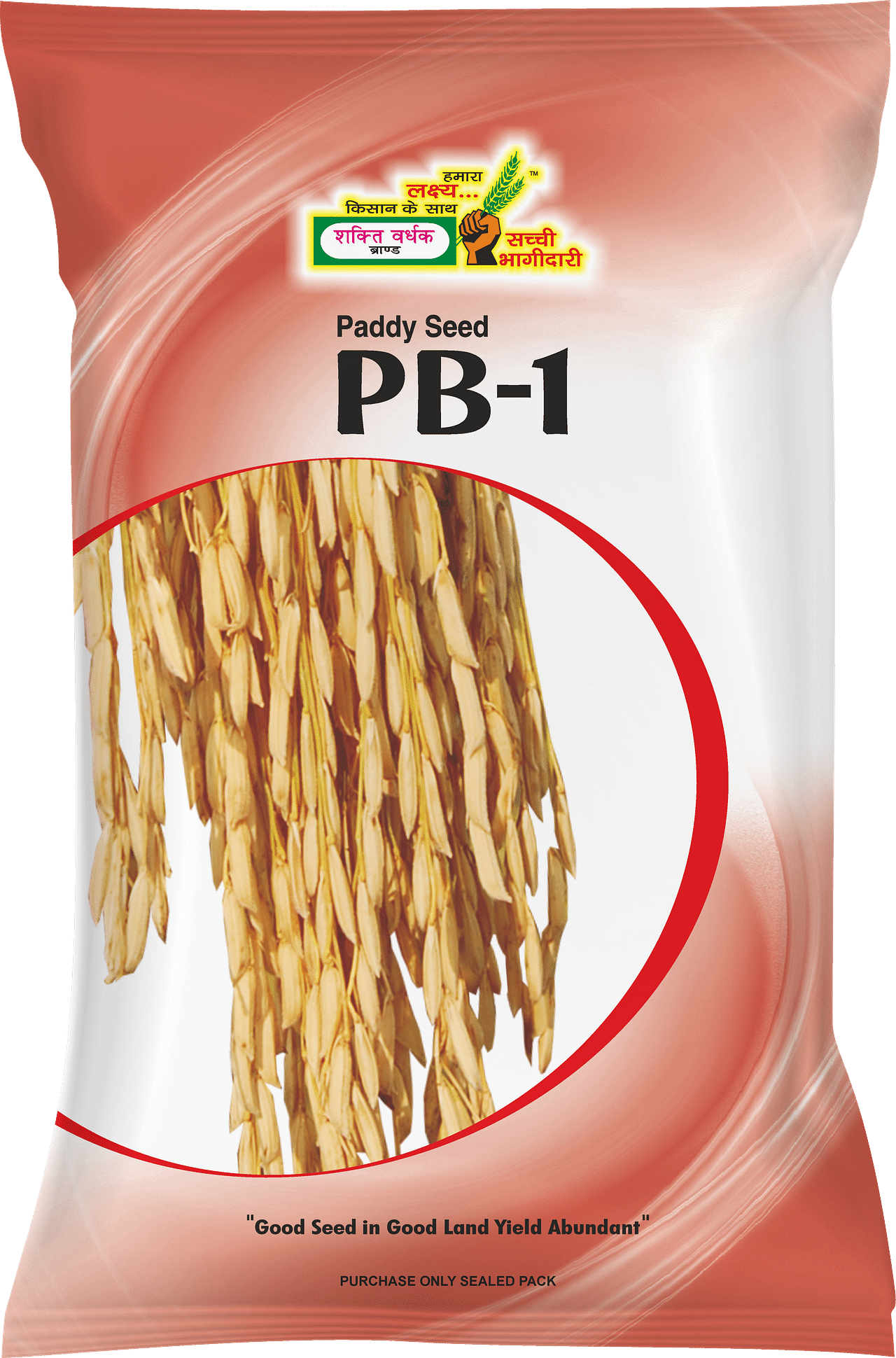 PB-1, Best Paddy Seeds, 