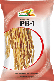 PB-1, Best Paddy Seeds,  Thumbnail Image