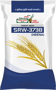 SRW-3738, Best Wheat Seeds,  Thumbnail Image