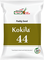 कोकिला-44, Best Paddy Seeds,  Thumbnail Image