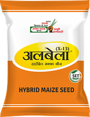 अलबेला, Best Maize Seeds,  Thumbnail Image