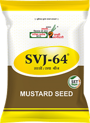 SVJ-64 (Notified), Best Mustard Seeds,  Thumbnail Image