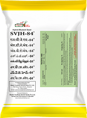 SVJH-84, Best Mustard Seeds,  Thumbnail Image