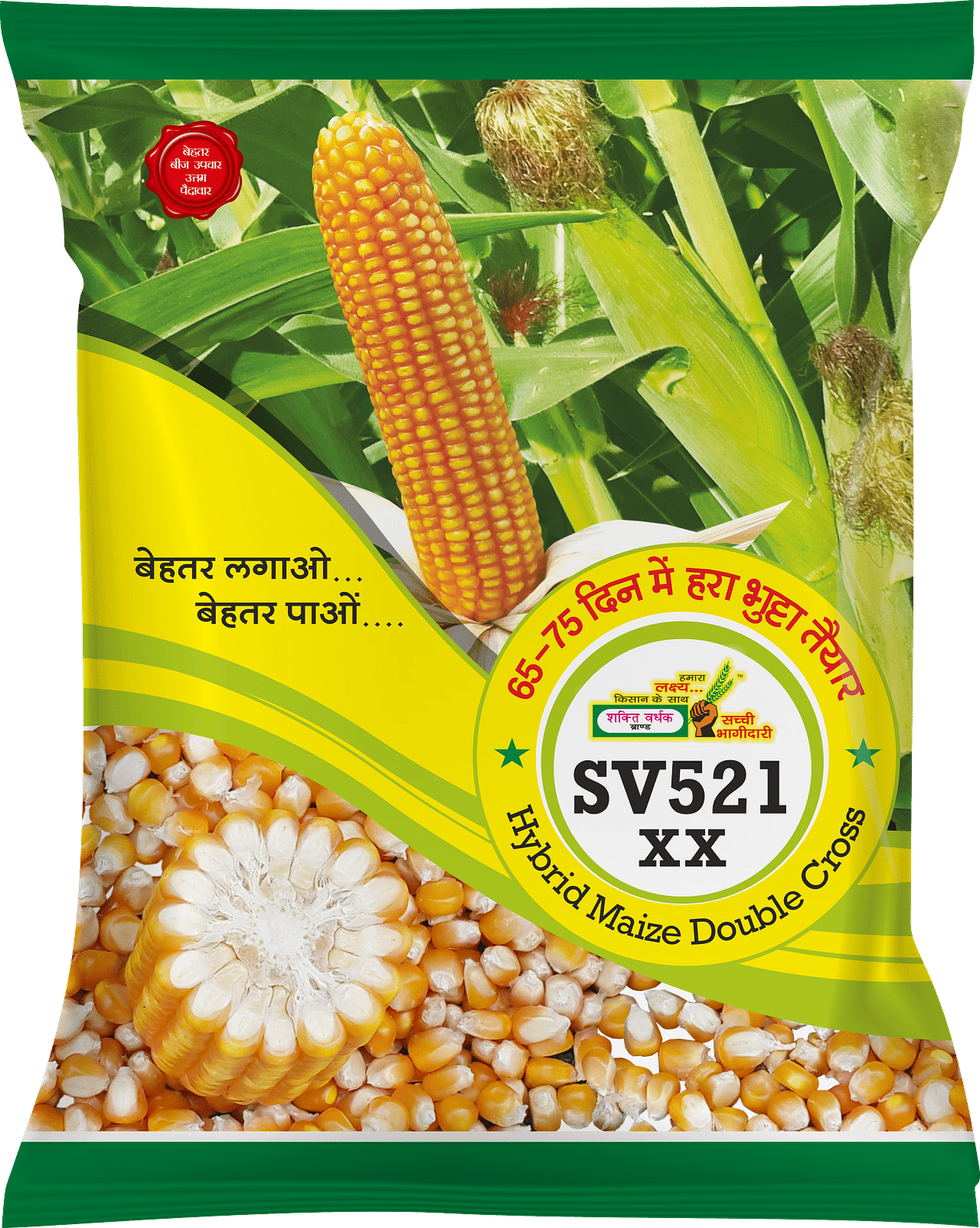 SV521 xx, Best Maize Seeds, 