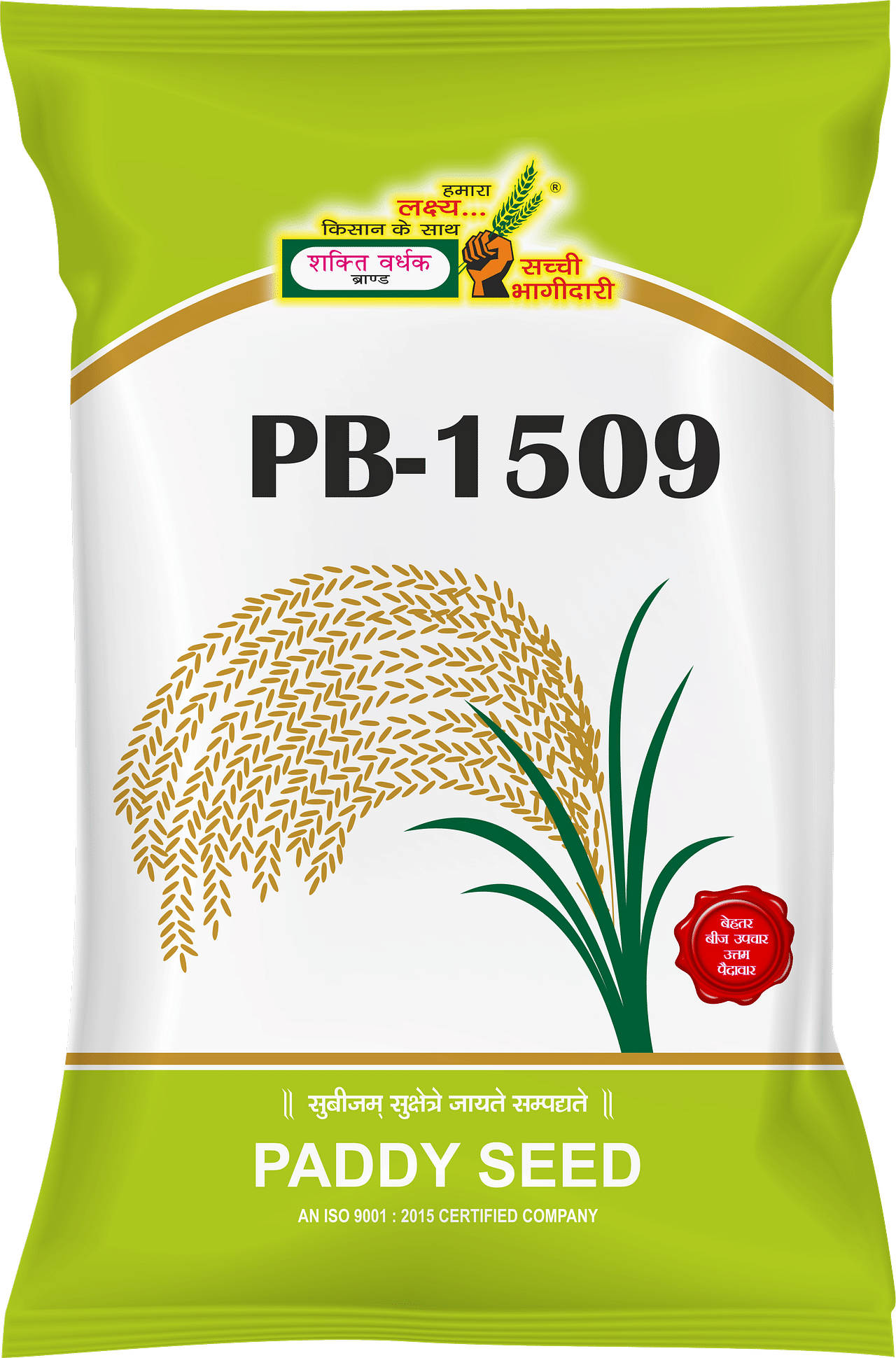 PB-1509, Best Paddy Seeds, 