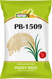 PB-1509, Best Paddy Seeds,  Thumbnail Image