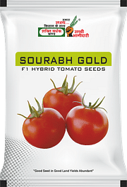 सौरभ गोल्ड, Best Tomato Seeds,  Thumbnail Image