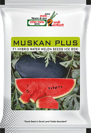 मुस्कान प्लस, Best Watermelon Seeds,  Thumbnail Image