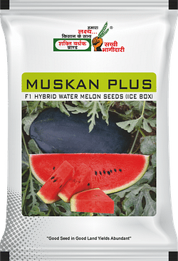 Muskan Plus