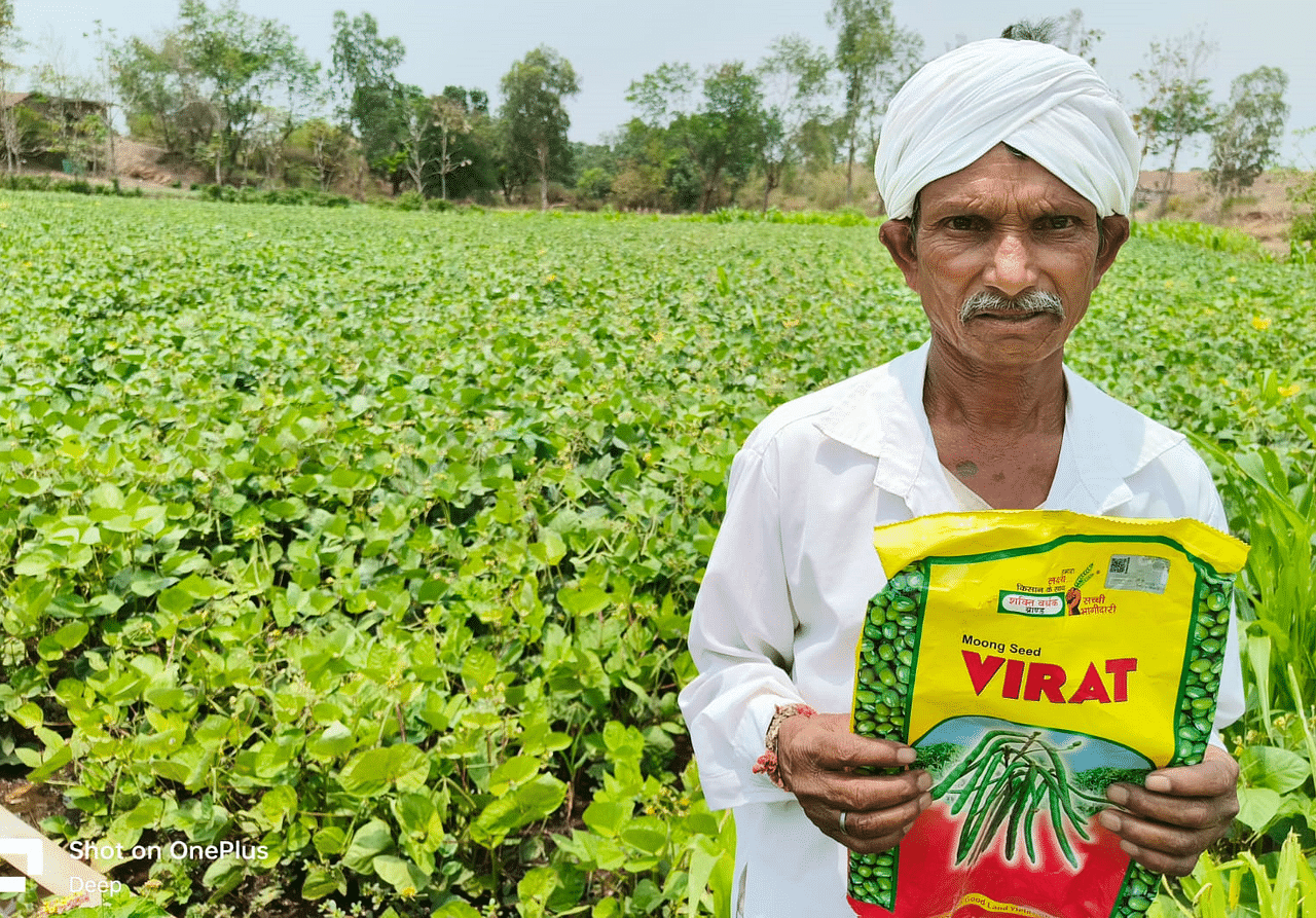 Moong ( मूंग )