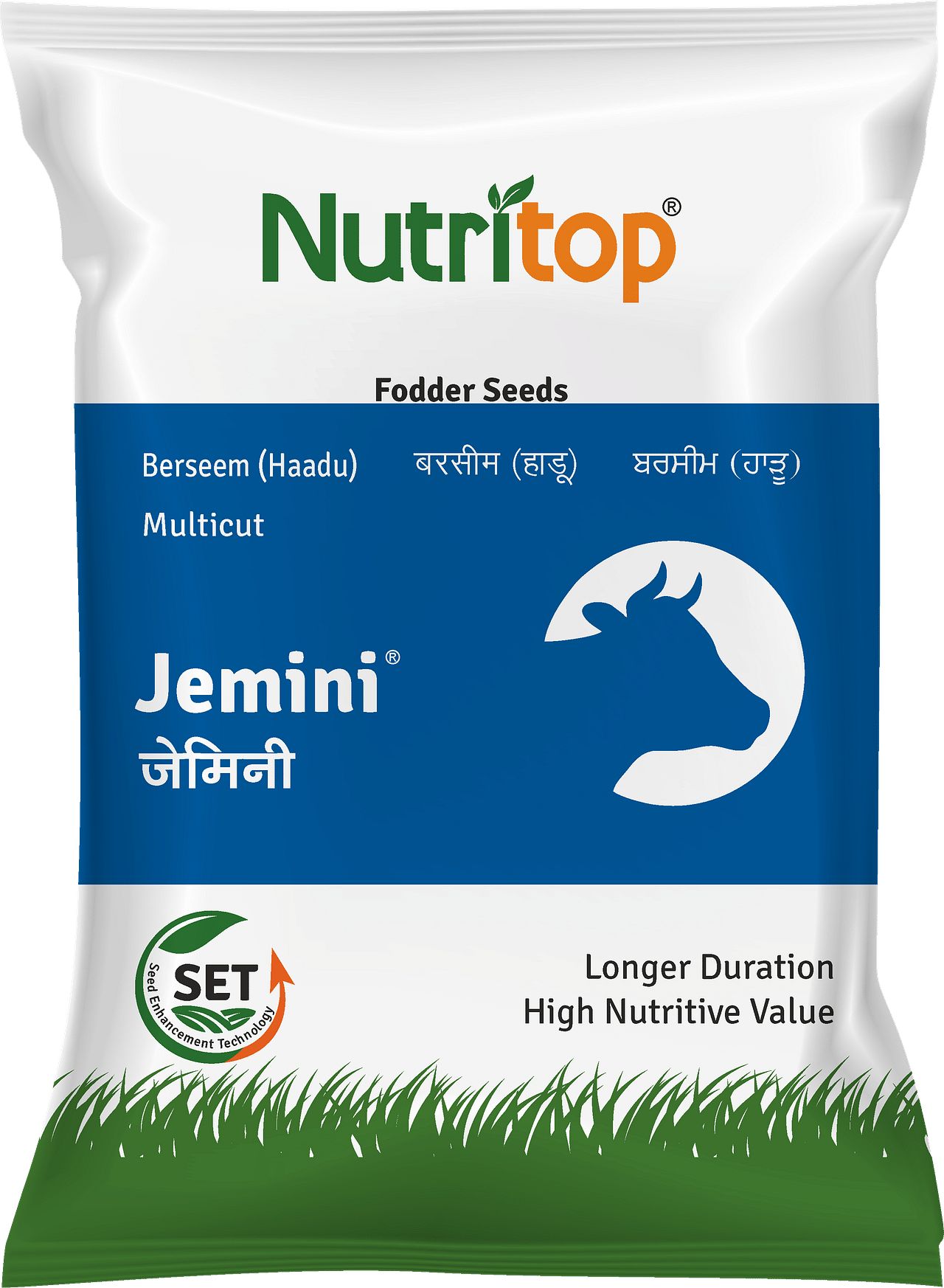 Jemini, Best Berseem Seeds, 