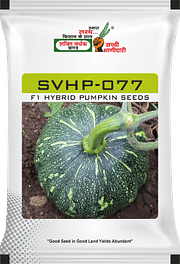 SVHP-077, Best Pumpkin Seeds,  Thumbnail Image