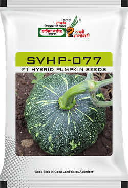 SVHP-077