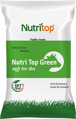 Nutri Top Green