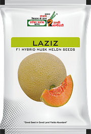 लज़ीज़, Best Muskmelon Seeds,  Thumbnail Image