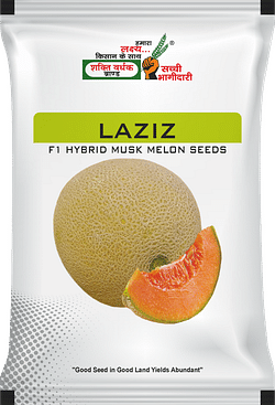 Laziz